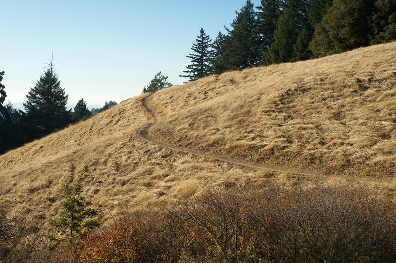 The narrow, dirt track winds its way uphill with views of the mountains starting to open up.