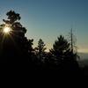 The sun peaks through the trees in the late afternoon.