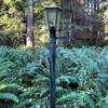 Random street light just off the loop trail in Gazzam Lake park