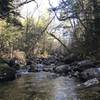 Looking Drakes Brook in autumn.