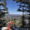 Mt. Washington from Sandwich Mtn. Trail