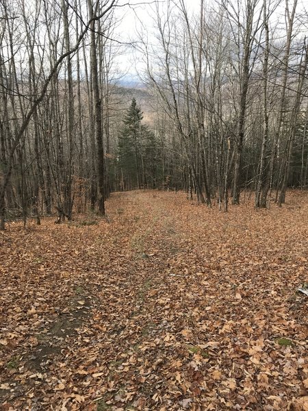 Looking down Black Mountain Ski Trail.