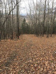 Looking down Black Mountain Ski Trail.