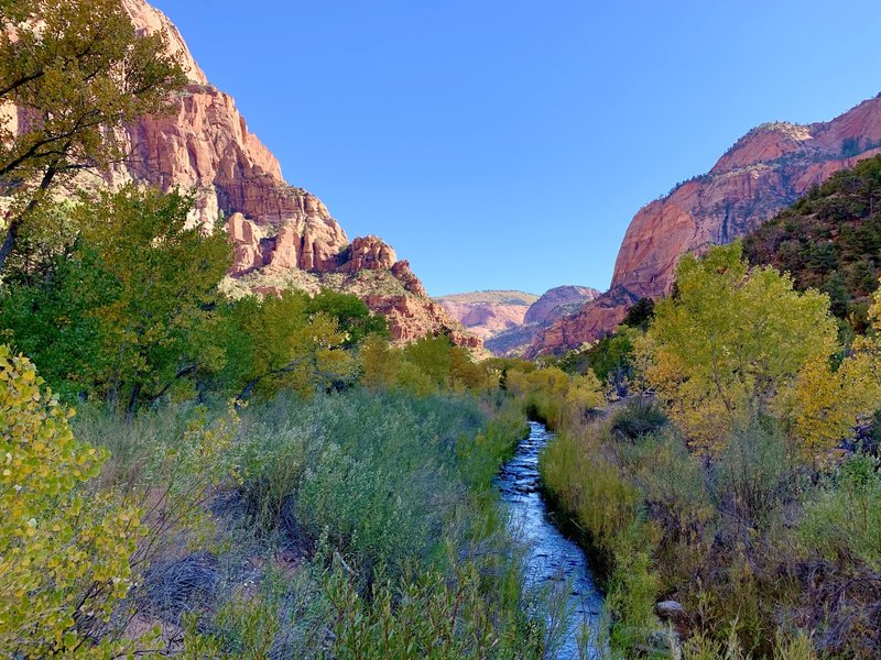 Western view of La Verkin Creek flowing through Kolob Canyon.