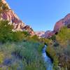 Western view of La Verkin Creek flowing through Kolob Canyon.