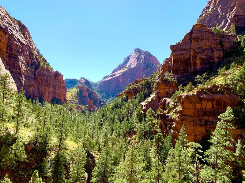 Kolob Canyon as seen when looking South from the Kolob Arch viewpoint.