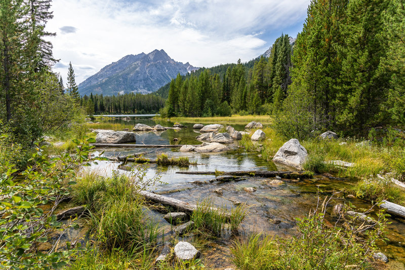 Bearpaw Lake outlet