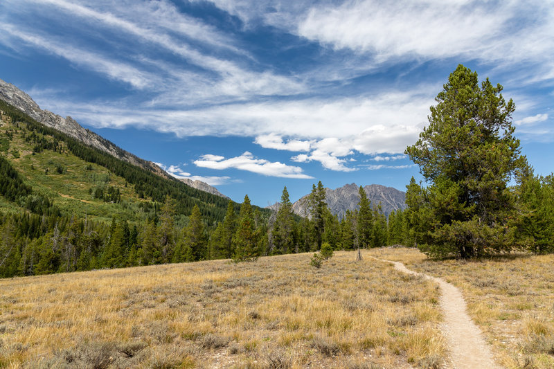 Bearpaw Lake Trail