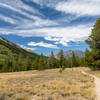 Bearpaw Lake Trail