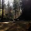 Trail from the Ash Cave recess cave, looking in the direction of the parking lot. 1/4 mile in length.