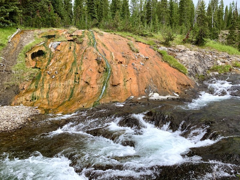 The Gregg Fork next to campsite 9D1 is full of thermal features that create warm spots in the river perfect for relaxation. The other two forks in the Three River Junction area are also full of thermal features.