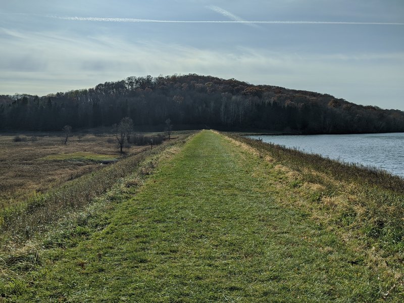 Straight grassy stretch of trail.