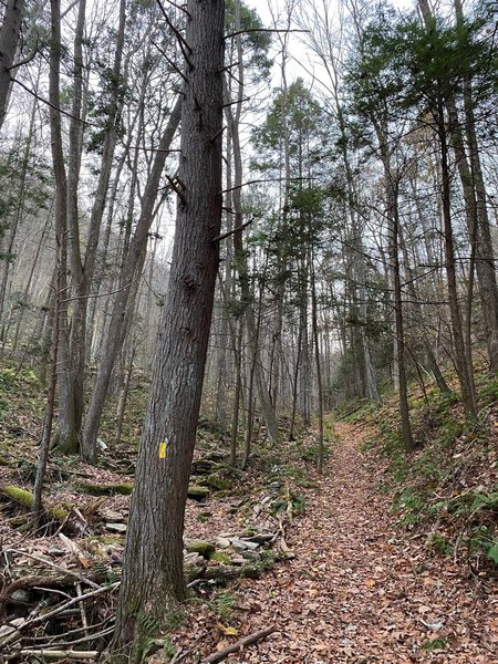 Heading up Weitzel Trail