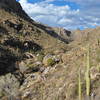 Looking NE into Bear Canyon