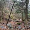 The trail to Jacoby Falls