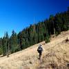 At head of Wrangle Creek near Wrangle Camp.