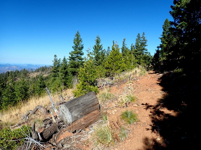 Old trail maintenance just north of Jack Flat.
