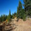 Trail is an old road near Point 6024.