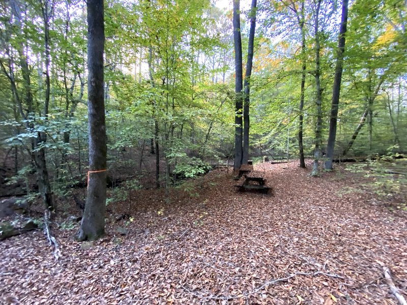 Picnic spot on the trail.
