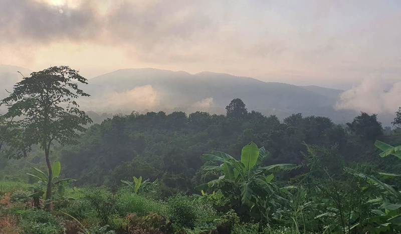 Morning mist from scenic viewpoint.