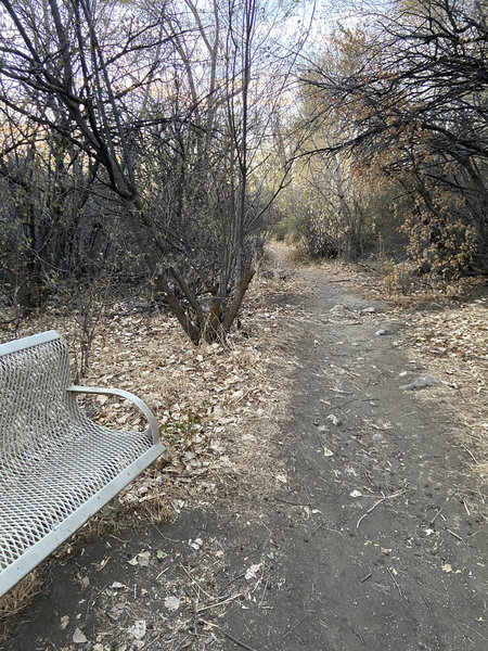 At the meeting of Eastborne Circle Access and Shepard Creek Trail there's a bench.