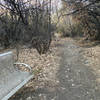 At the meeting of Eastborne Circle Access and Shepard Creek Trail there's a bench.