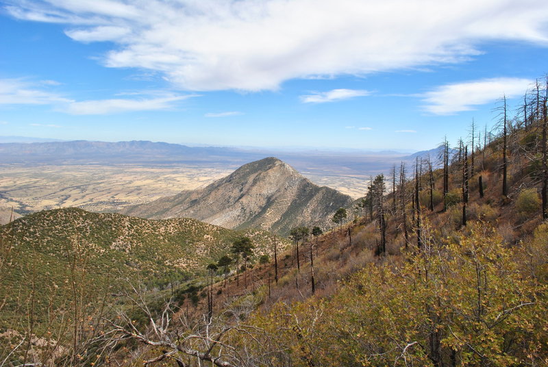 View SE a little past halfway point of trail.