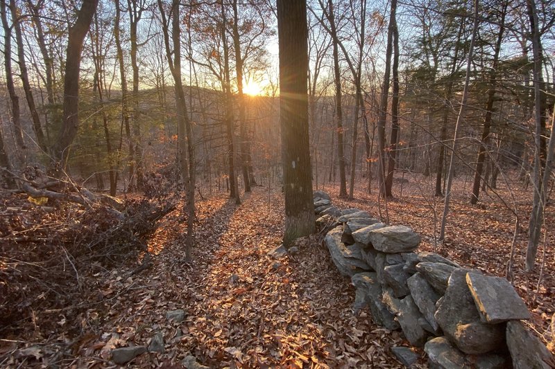 The setting sun on the Lillinonah Trail.