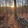 The setting sun on the Lillinonah Trail.