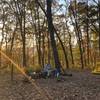 Campsite at Newton's Bald.