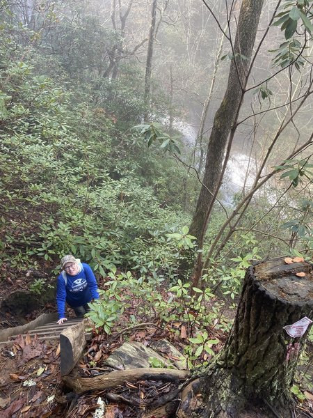 Coming up Naturaland Trust Trail - Headed to the suspension bridge