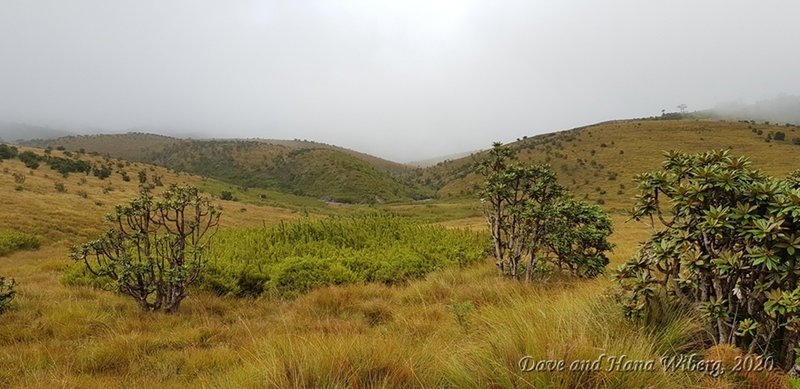 Horton Plains