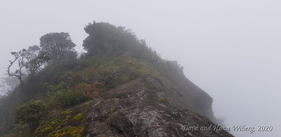 Steep ridge near the peak of Kirigalpoththa.