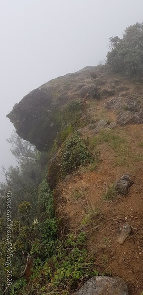 Ridgeline near the top of Kirigalpoththa in Horton Plains.