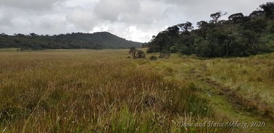 Horton Plains on the hike to Kirigalpoththa.