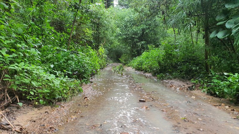 Flooded doubletrack during the rainy season.
