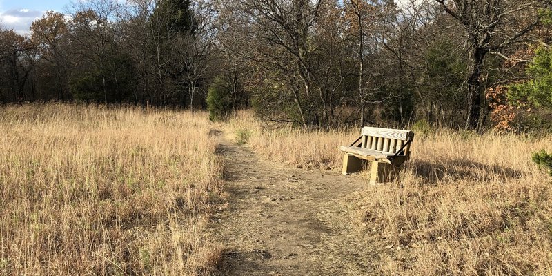 Rest bench on the Redbud Valley Main Trail.