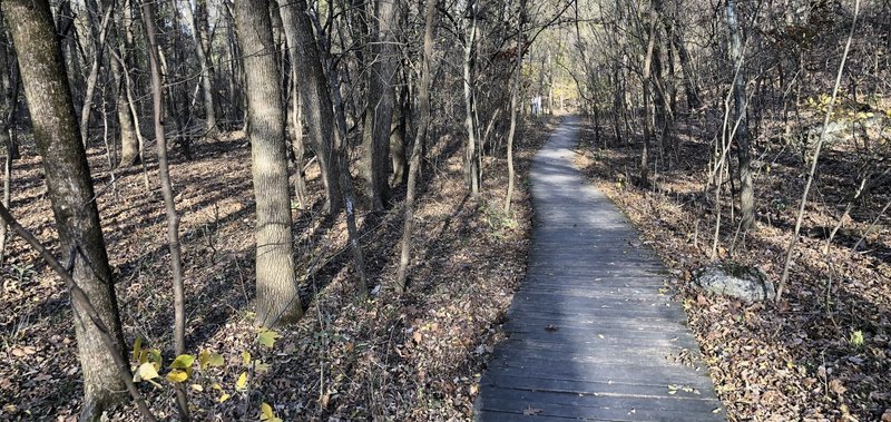 Boardwalk section of the Redbud Valley Main Trail.