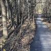 Boardwalk section of the Redbud Valley Main Trail.