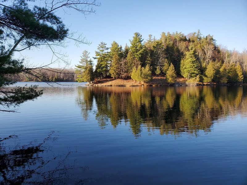 Forested peninsula jutting into Gould Lake.