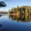 Forested peninsula jutting into Gould Lake.