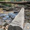 A tree fell over the bridge and you had to climb over or duck under to get by it.