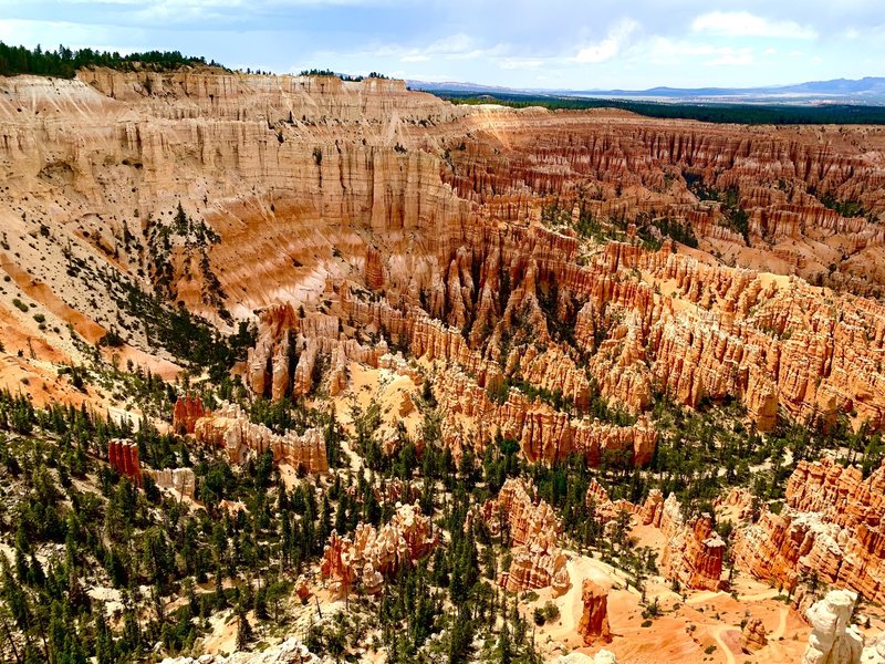 This trail offers stunning views of the Bryce amphitheater area.