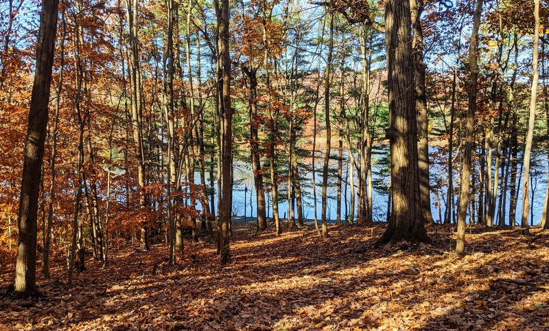 A view of the Orange Reservoir coming down the hill on the Zoo Loop, where it connects with the Orange Reservoir Loop.