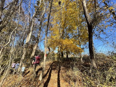 Red Trail