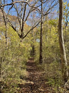Red Trail