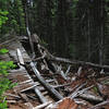 The old cabin along the trail.