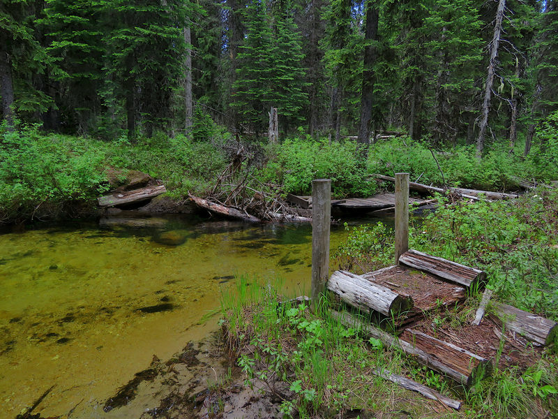 The missing bridge at Twentymile Creek.