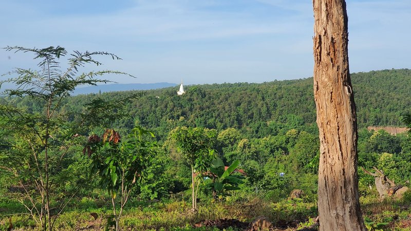 Distant view of Wat Prathat Doi Ku Kam temple, the starting point of another nice trail running route.