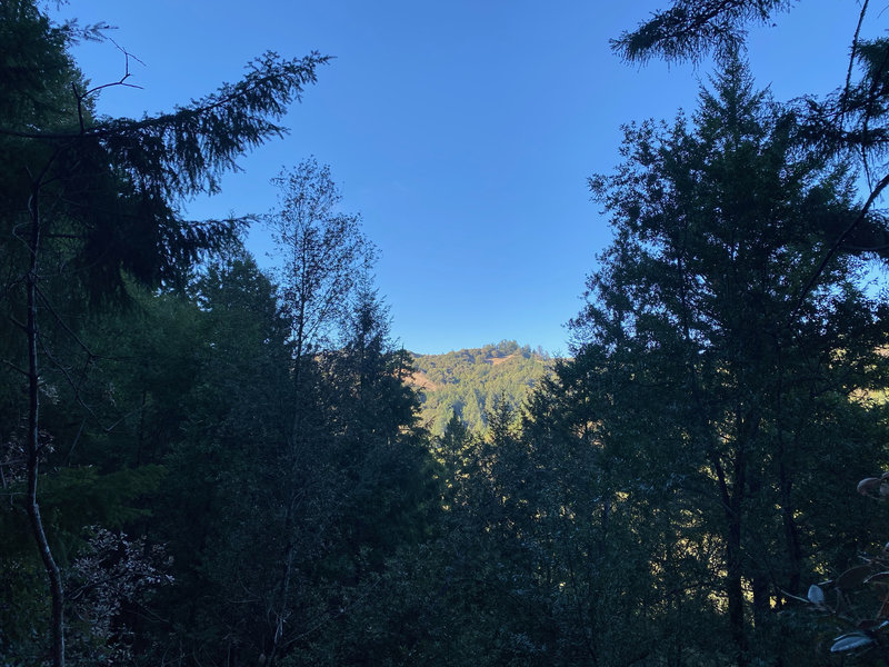 Views of the surrounding mountains peak through the trees as you travel the Nutmeg Trail.